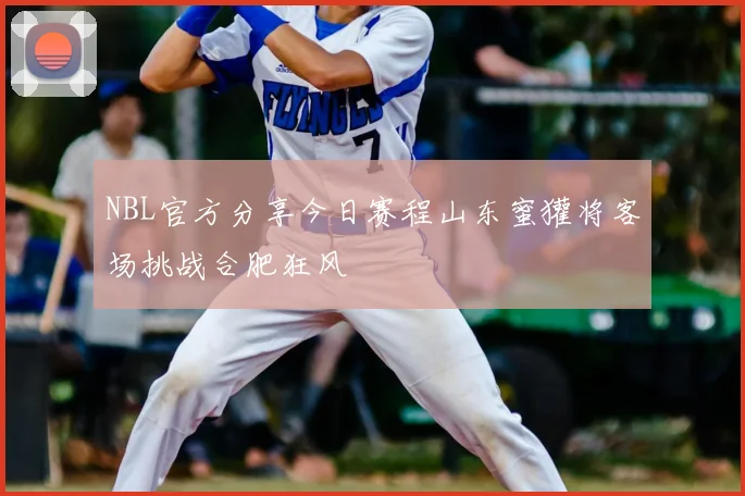 NBL官方分享今日赛程山东蜜獾将客场挑战合肥狂风