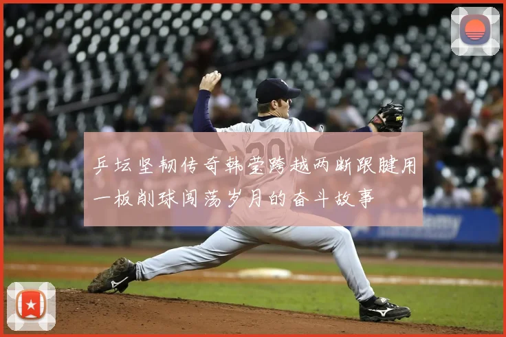 乒坛坚韧传奇韩莹跨越两断跟腱用一板削球闯荡岁月的奋斗故事