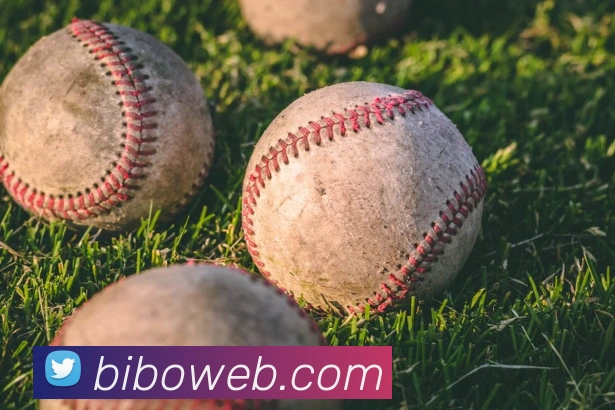 必博体育平台生态图